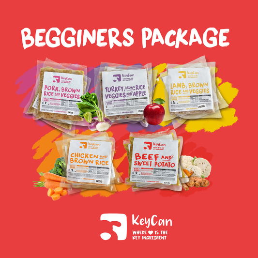 Beginners Package